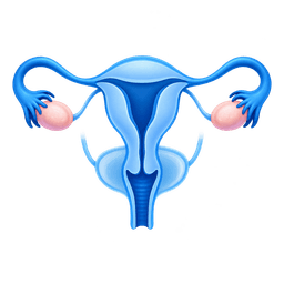 Pelvic Scan